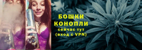 ешки Арсеньев
