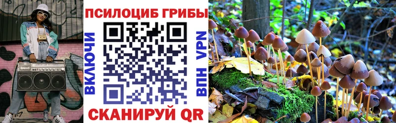 Псилоцибиновые грибы MAGIC MUSHROOMS Моршанск