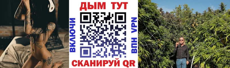 купить наркоту  Моршанск  Бошки Шишки SATIVA & INDICA 